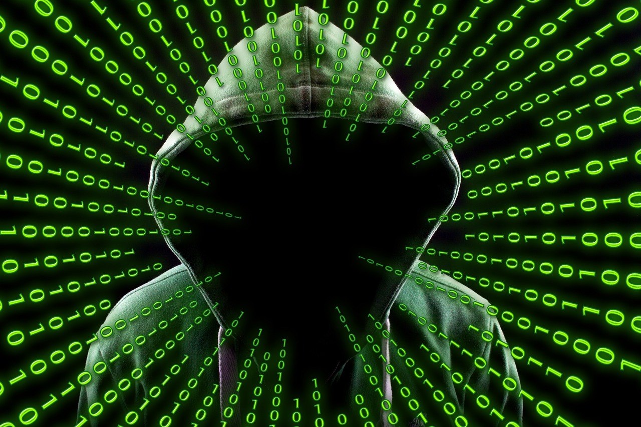 Input Perturbation Attack Input Perturbation Attack
